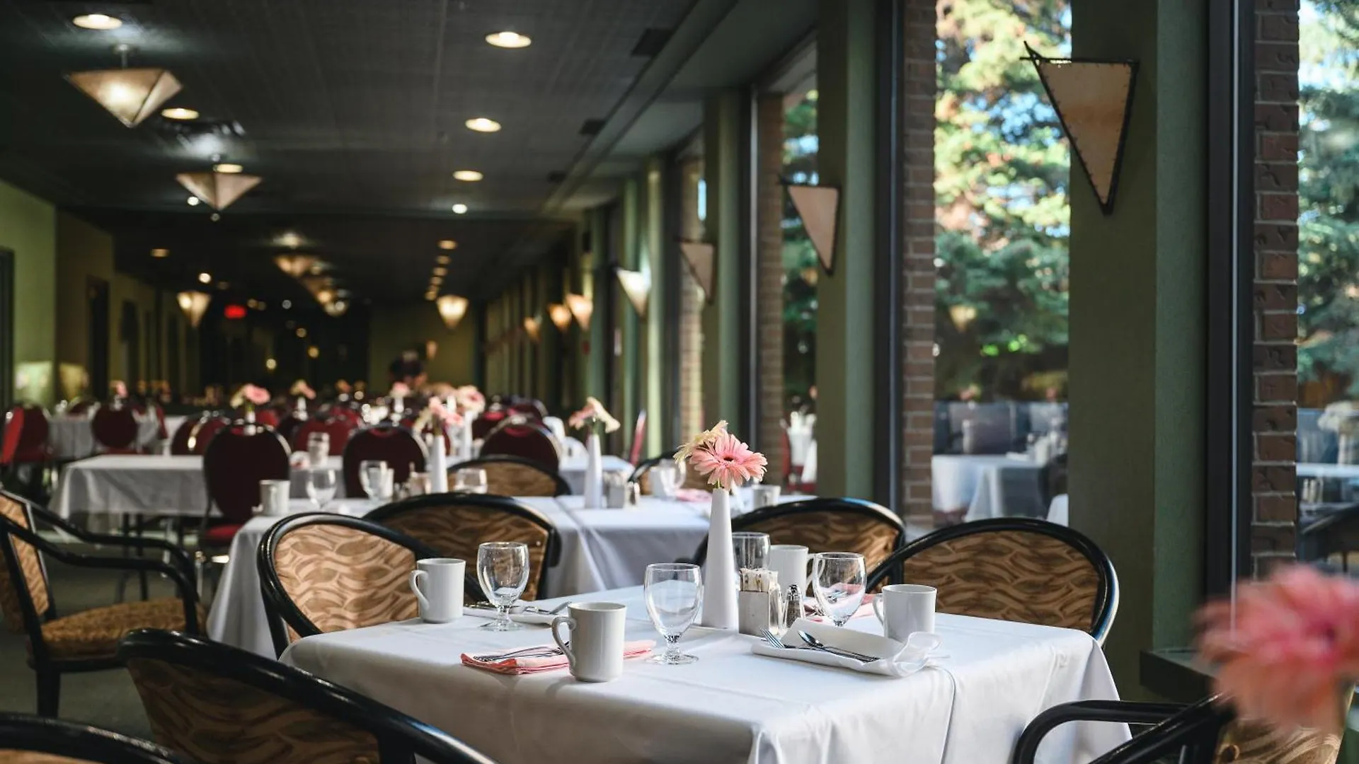Hotel Blackfoot Calgary